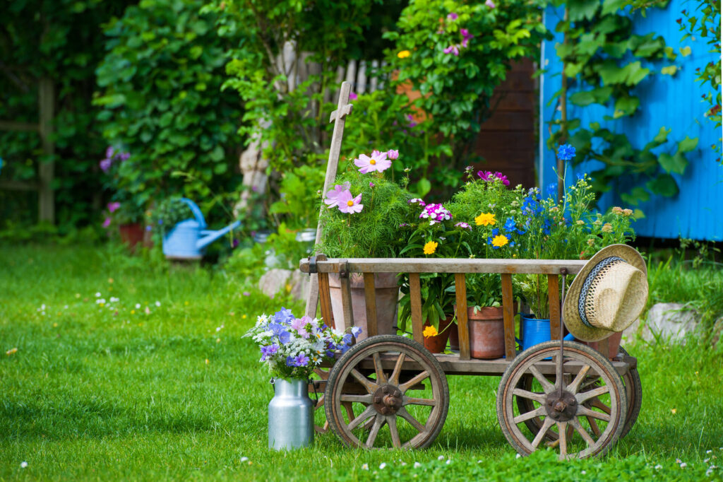 Ein schöner Garten mit Deko