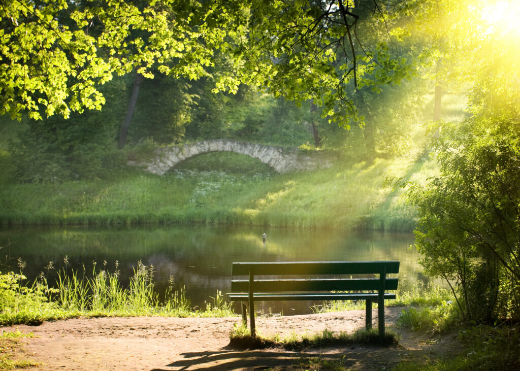 Bank am Ufer des Flusses an einem Sommertag